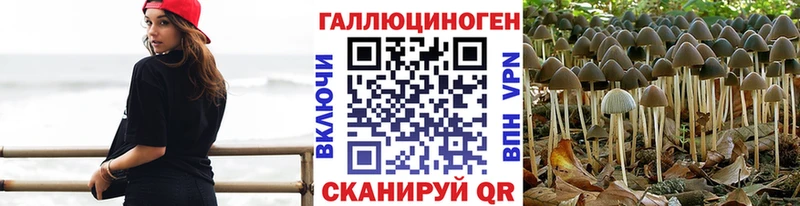 Галлюциногенные грибы Cubensis  OMG зеркало  Изобильный 