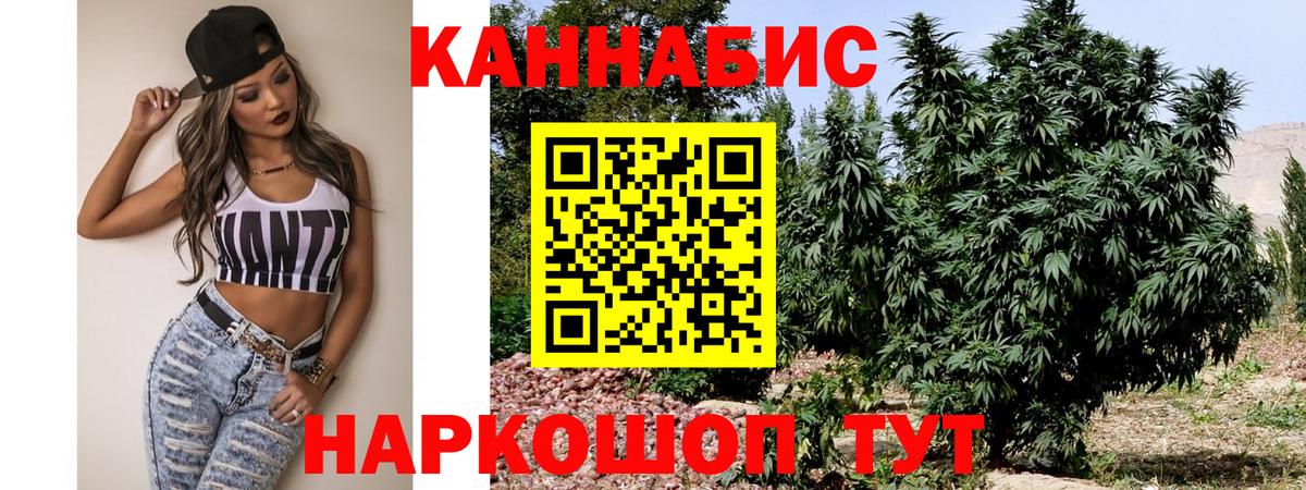 Каннабис планчик Изобильный